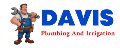 Trusted plumber in BRAINARD